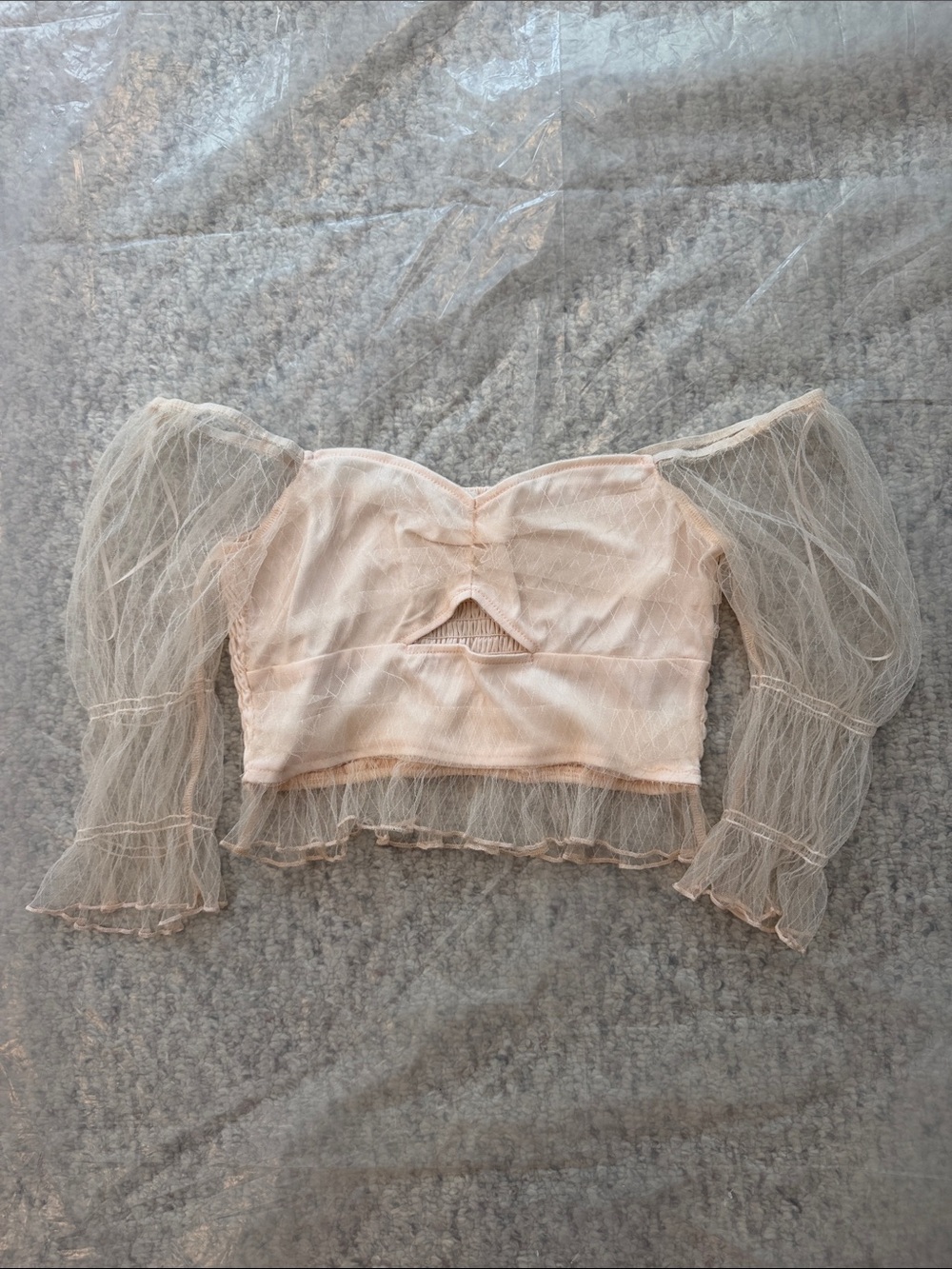 Stunning Sheer Puff-Sleeve Crop Top in Blush Pink